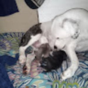 Meet your Posher, Tom